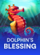 Dolphin’s Blessing