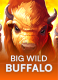 Big Wild Buffalo