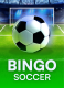 Bingo Soccer