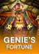 Genie’s Fortune
