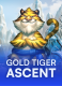 Gold Tiger Ascent