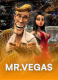 Mr. Vegas