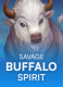 Savage Buffalo Spirit