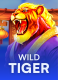 Wild Tiger
