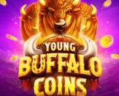 Young Buffalo Coins
