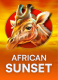 African Sunset