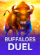 Buffaloes Duel