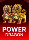 Power Dragon