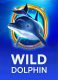 Wild Dolphin