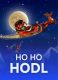 Ho Ho HODL