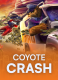 Coyote Crash