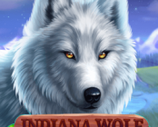 Indiana Wolf