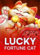 Lucky Fortune Cat