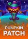 Pumpkin Patch
