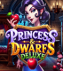 Princess &amp; Dwarfs Deluxe