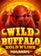Wild Buffalo Megaways: Hold N Link