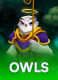 Owls