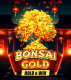Bonsai Gold Hold &amp; Win