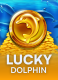Lucky Dolphin