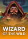 Wizard of the Wild