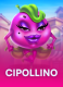 The Cipollino