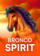 Bronco Spirit