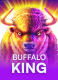 Buffalo King