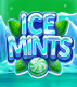 Ice Mints