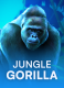 Jungle Gorilla