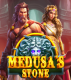 Medusa’s Stone