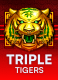 Triple Tigers