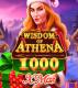 Wisdom of Athena 1000 Xmas
