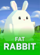 Fat Rabbit
