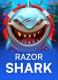 Razor Shark