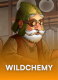 Wildchemy