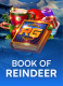 Book Of Reindeer