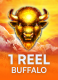 1 Reel Buffalo
