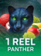 1 Reel Panther