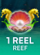 1 Reel Reef