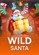 Wild Santa
