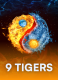 9 Tigers