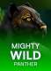 Mighty Wild: Panther
