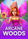 Arcane Woods