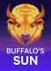 Buffalo&#8217;s Sun