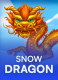 Snow Dragon