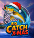 Big Catch Xmas
